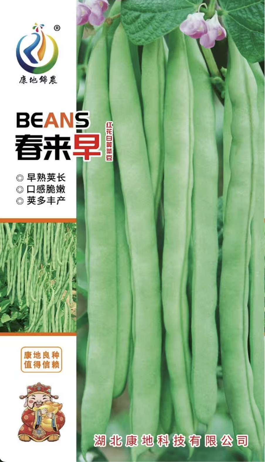 春來早四季豆